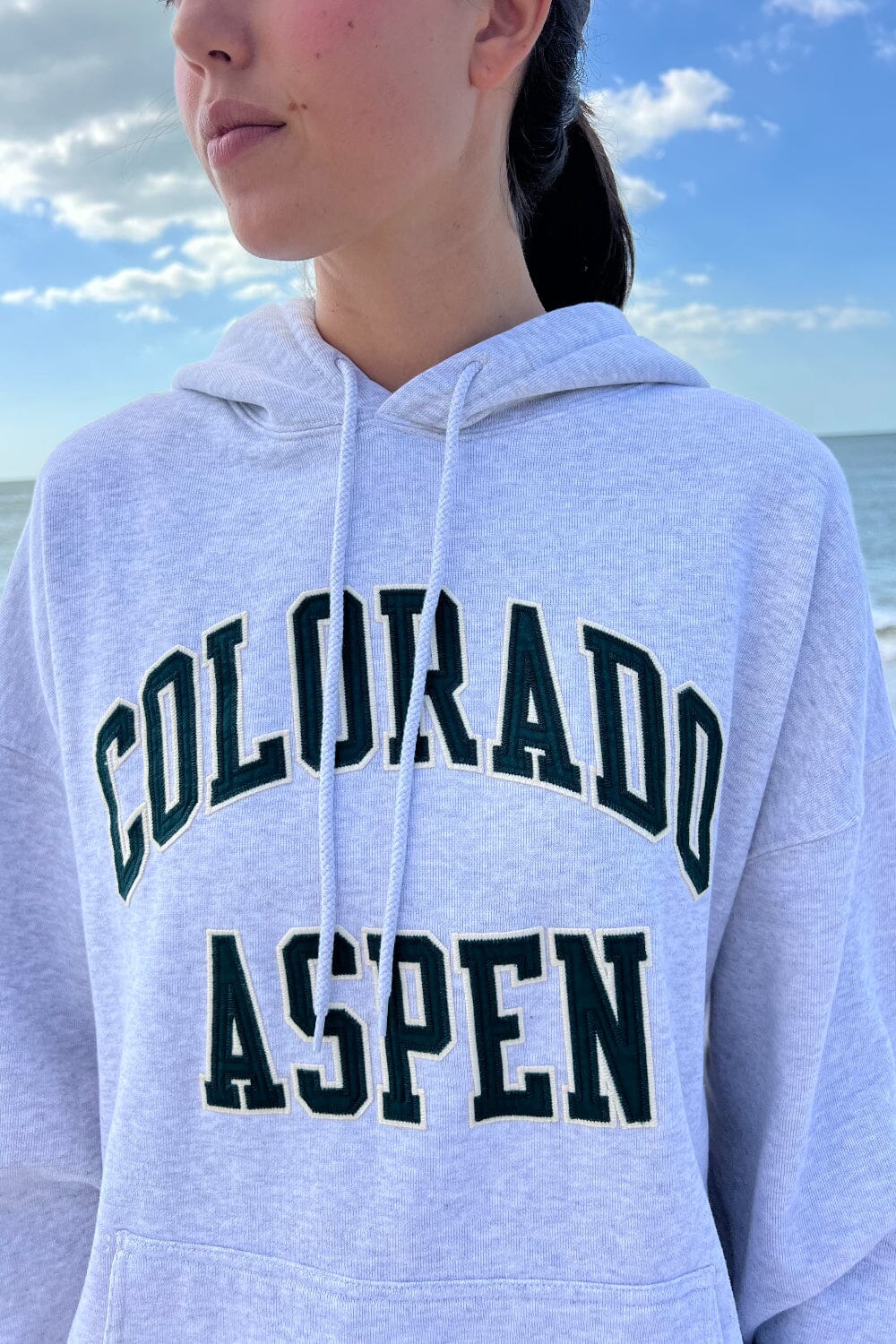 Colorado Aspen Hoodie
