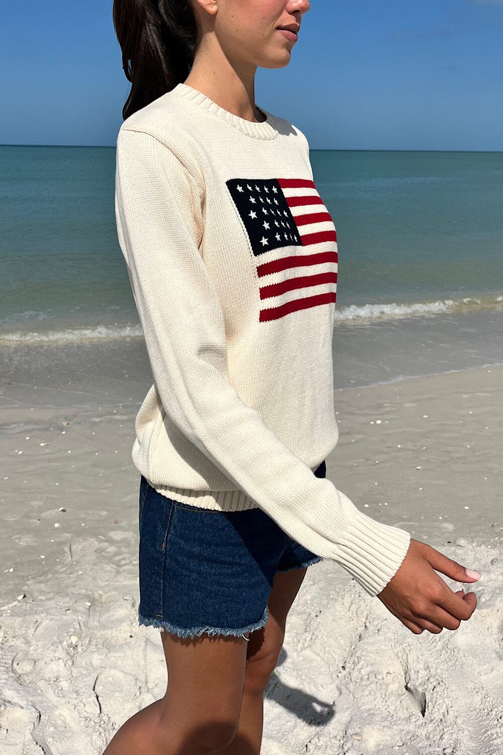 Nico American Flag Sweater