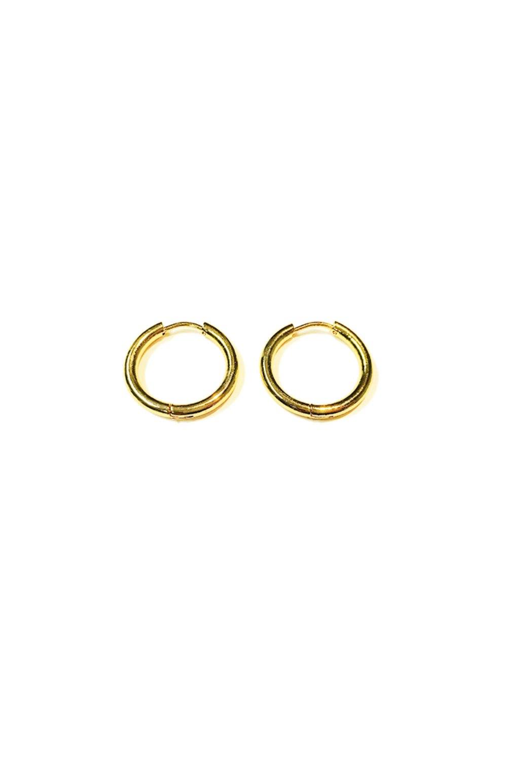 Hoop Earrings